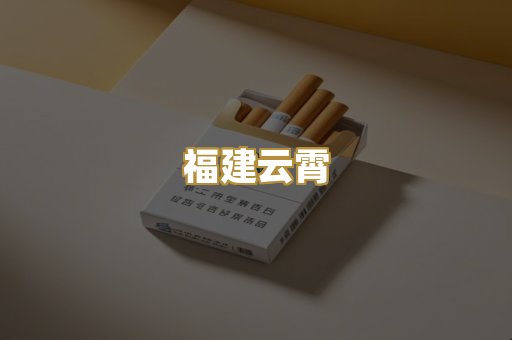 福建云霄